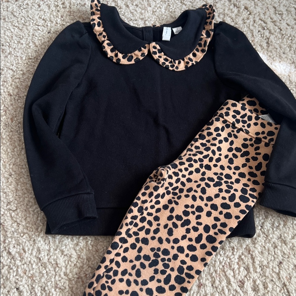 Black Top with Leopard Print Collar and Pants